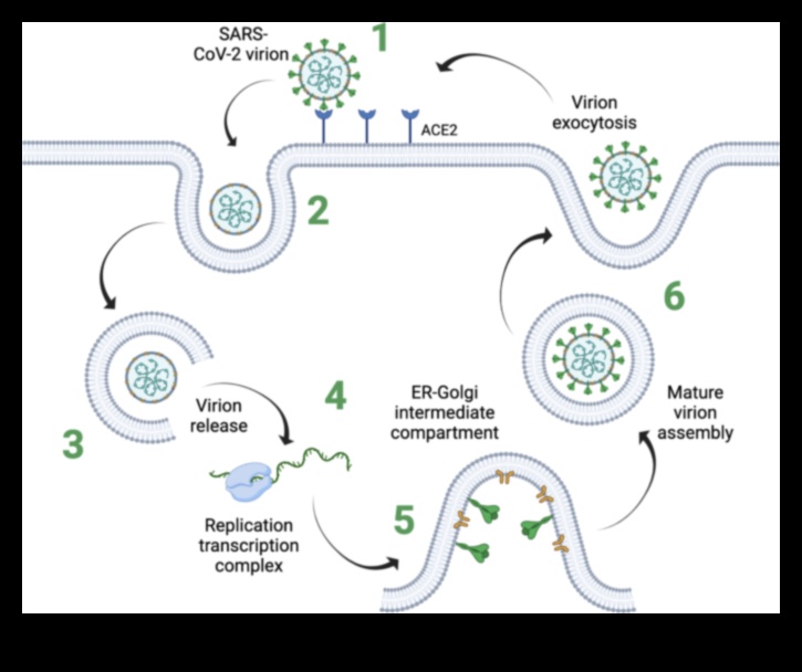 Infekciozā iztēle: ideju izstrāde ar vīrusu potenciālu