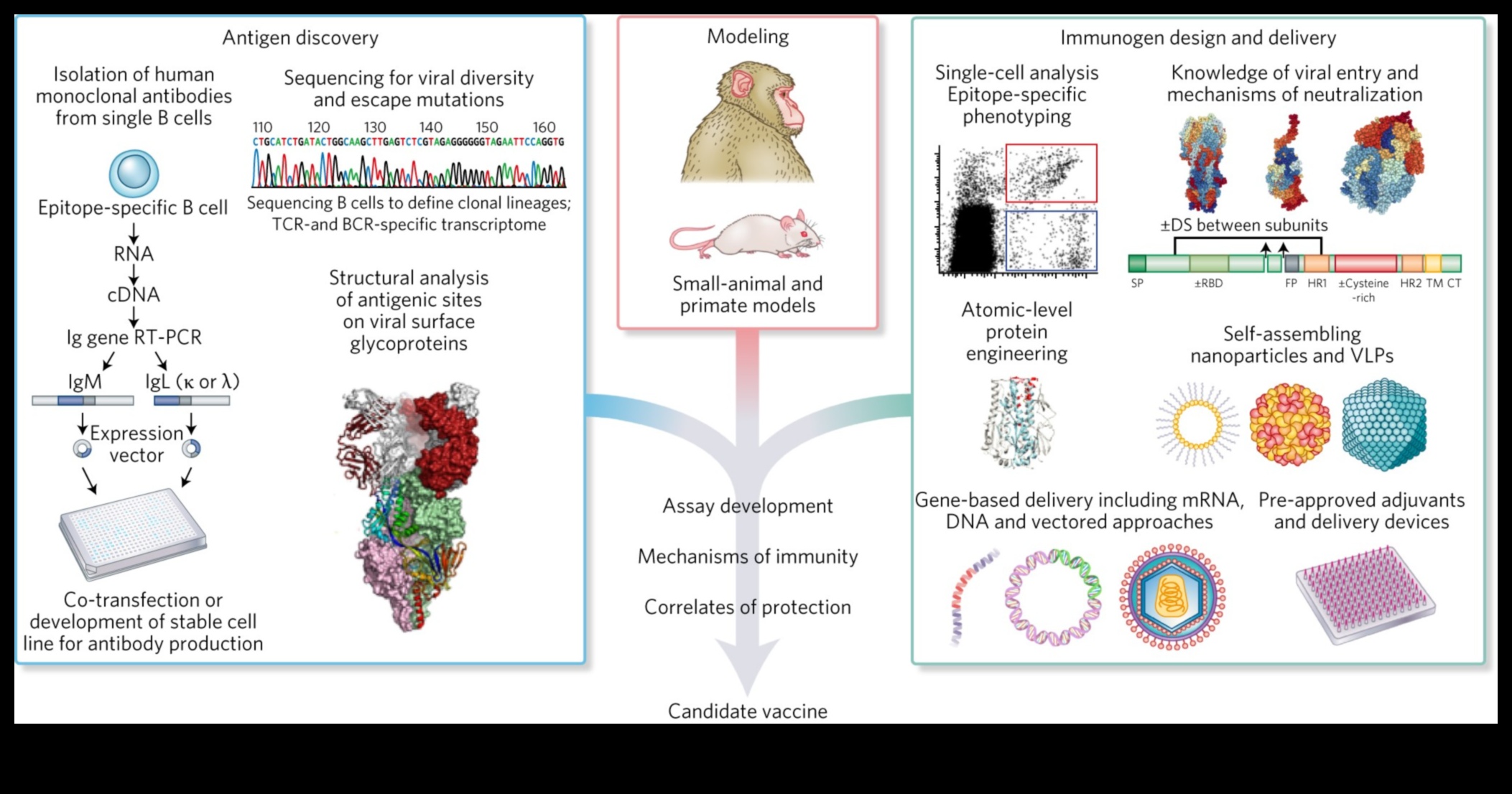 Infekciozā iztēle: ideju izstrāde ar vīrusu potenciālu
