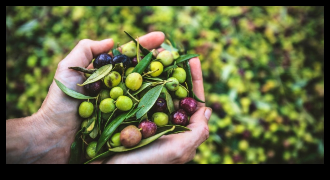 Dzīvesveida diētas un vides ilgtspējība: holistisks skatījums