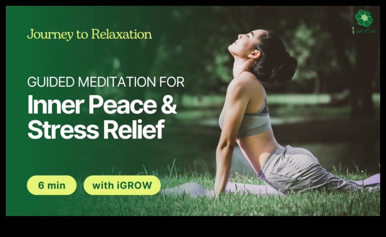 Vadīti apzināti mirkļi: ceļojums uz iekšējo mieru