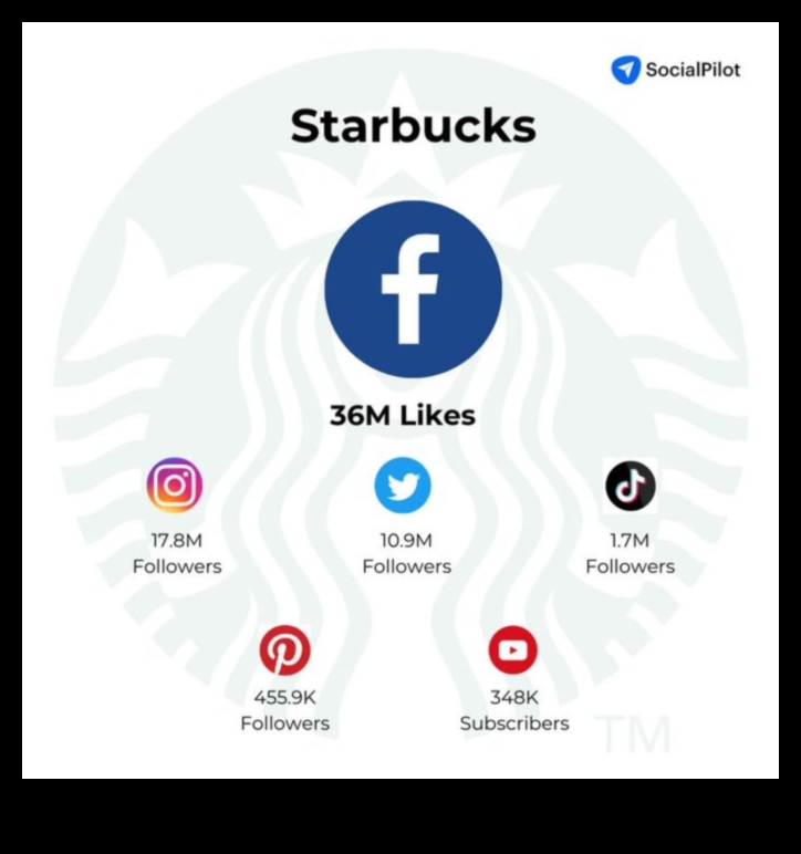 Sociālo saziņas līdzekļu izmantošana uzņēmumiem: veiksmes stāsti un gadījumu izpēte