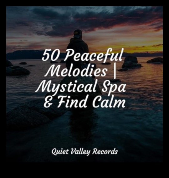 Meditācijas melodijas: saskaņojiet savu ceļu uz dzīvi bez stresa