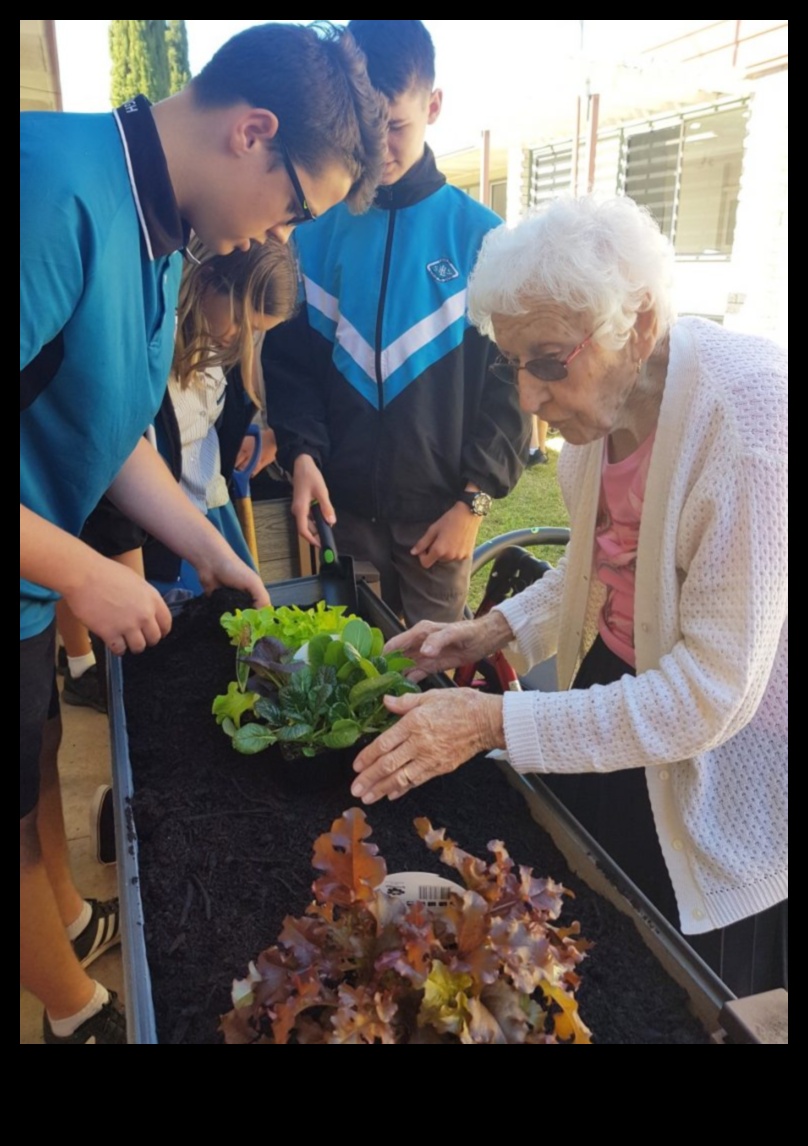 Draudzības raža: obligāciju augšana sociālo tīklu dārzā