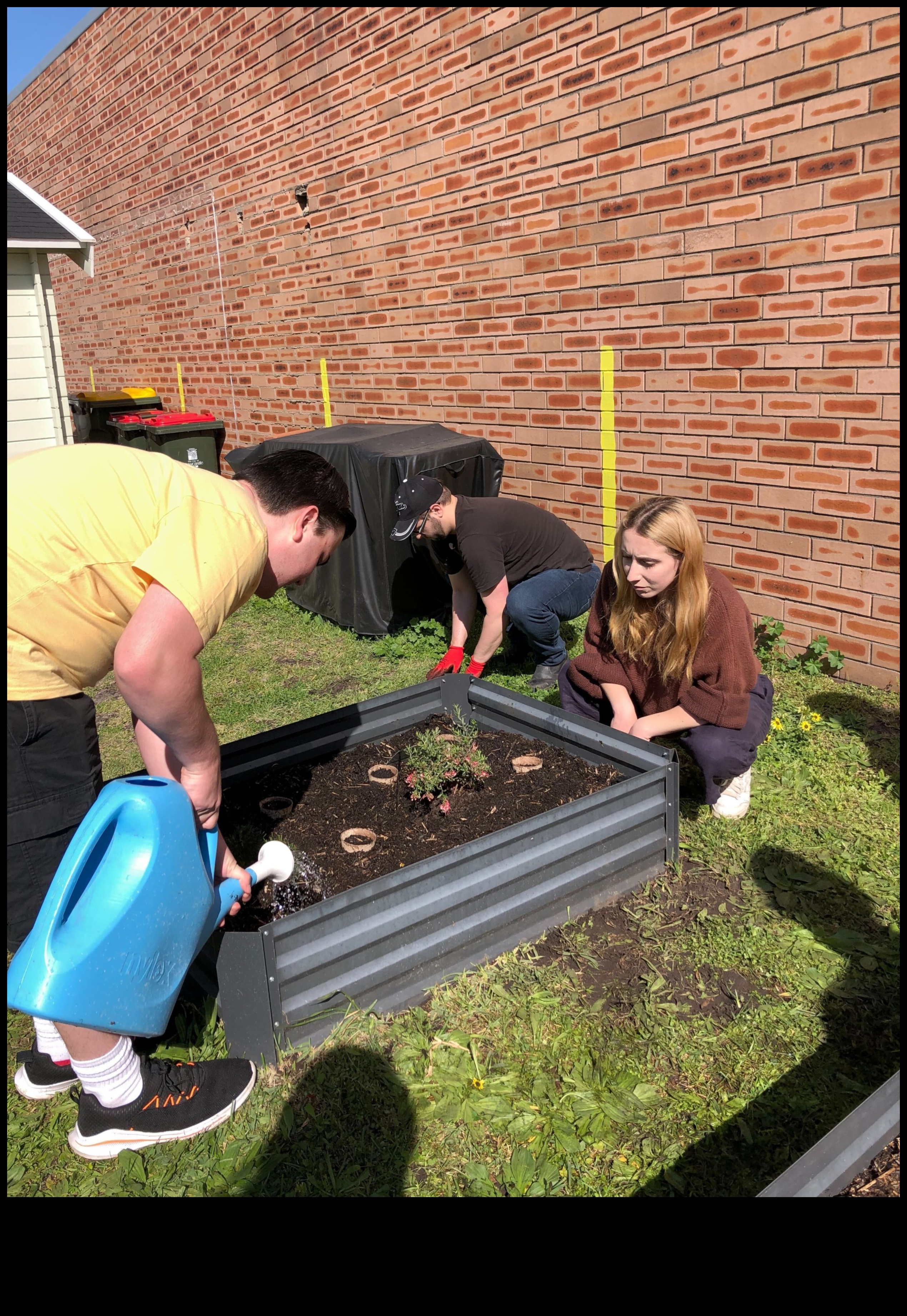 Draudzības raža: pieaugošas saites sociālo tīklu dārzā