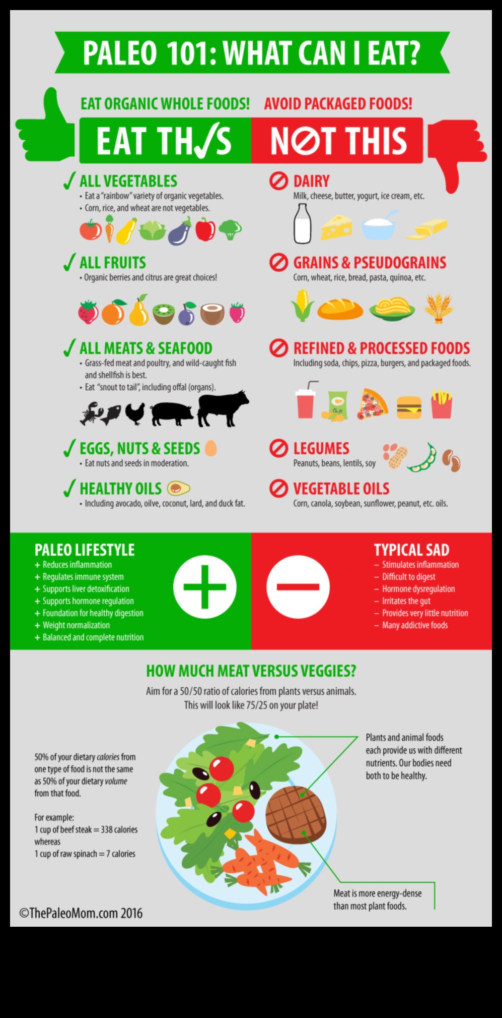 Paleo un vides ilgtspēja: holistiska perspektīva