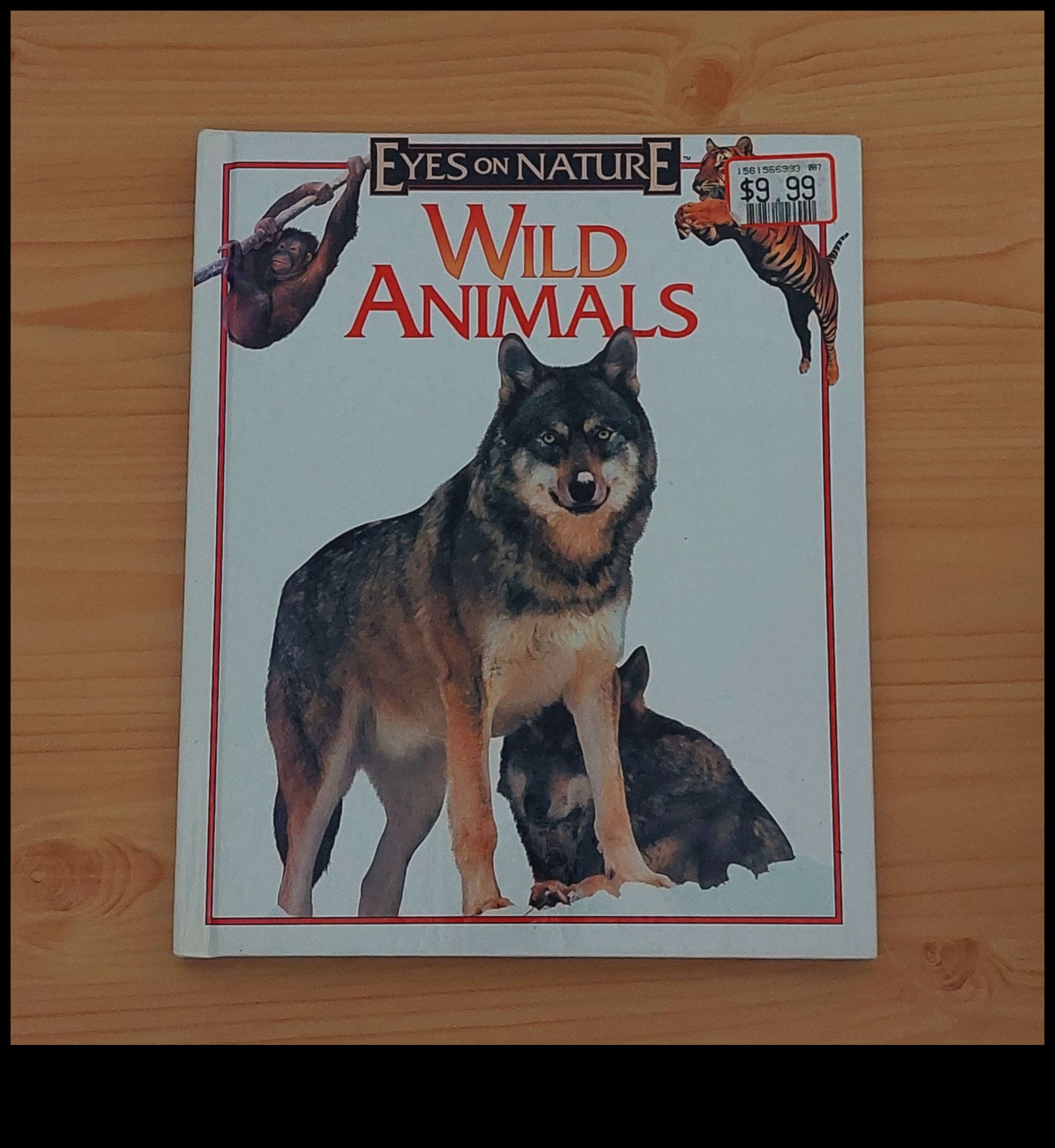 Tintes mežonība: hronikas, kas veidotas, izmantojot savvaļas dzīvnieku stāstus