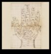 Beyond the Palms Guide to Statement Hand Art