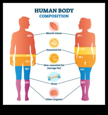 Kā var jūsu ķermeņa sastāvs ietekmes svara pieaugumu