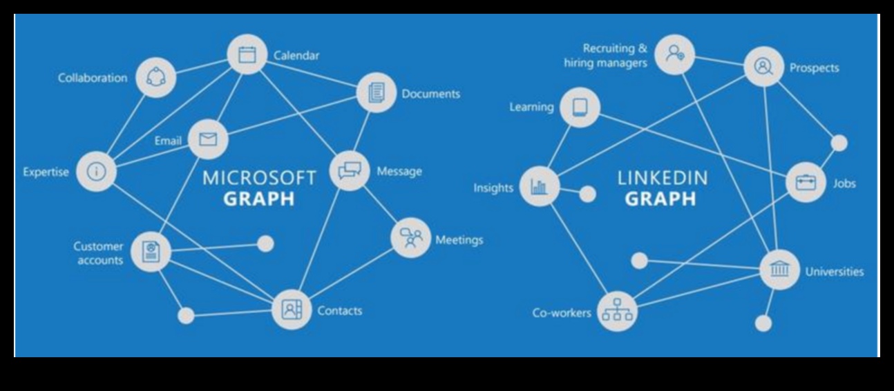 LinkedIn Dynamics Kā izmantot platformu profesionālai tīkla veicināšanai 3 LinkedIn Dynamics: Navigācija profesionālā tīkla veicināšanas ainavā