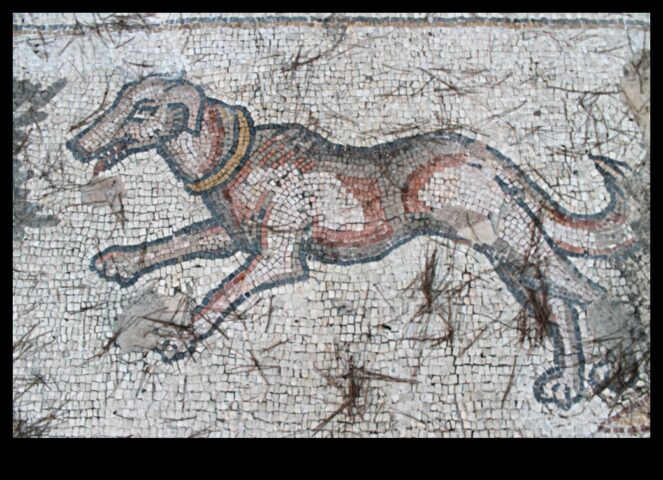 Humanitārās zinātnes un civilizācija Metodes, kā radošā izteiksme veidoja seno pasauli