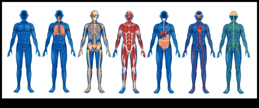 Sensorā izpēte, kas atbloķē ķermeņa skenēšanas spēku